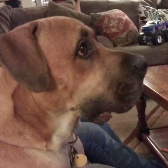 Lupe Fiasco - Picture 6 of 7